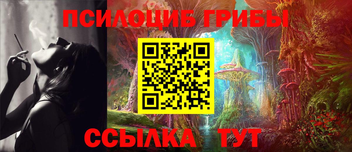 Галлюциногенные грибы GOLDEN TEACHER  Вход с VPN  Северодвинск 