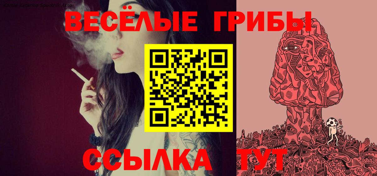 Галлюциногенные грибы Cubensis Северодвинск